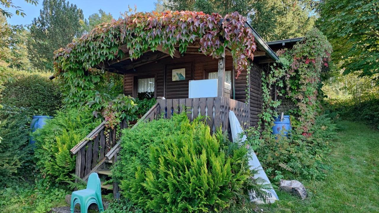Cafe Pension Sonnenkanzel Staatsbad Brückenau Zewnętrze zdjęcie